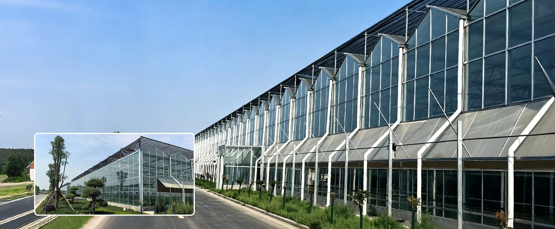 Nhà máy nhà kính nhiều nhịp Trung Quốc