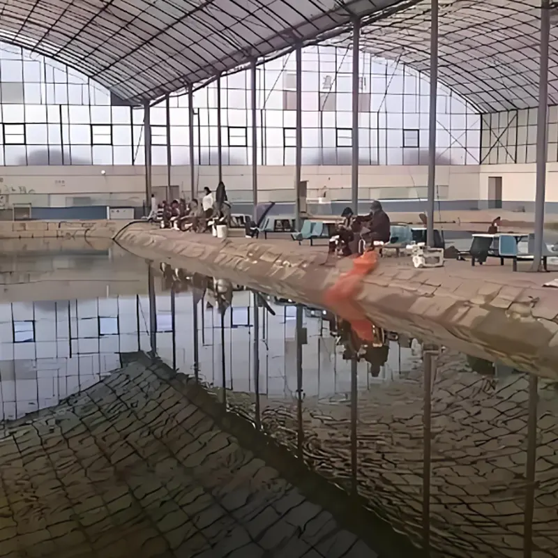 Nhà câu cá và giải trí