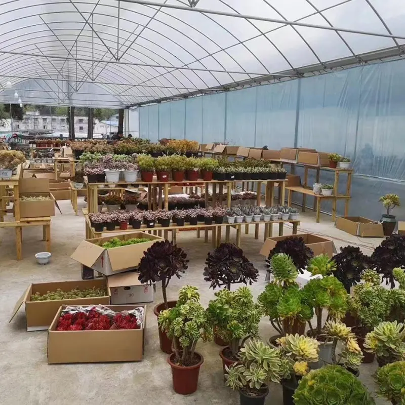 Nhà kính nhiều nhịp vòm tròn có nhịp lớn