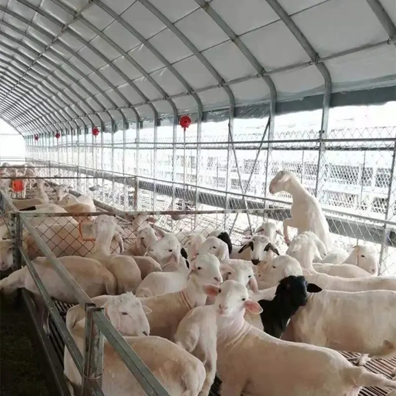 Chuồng chăn nuôi gia súc, gia cầm