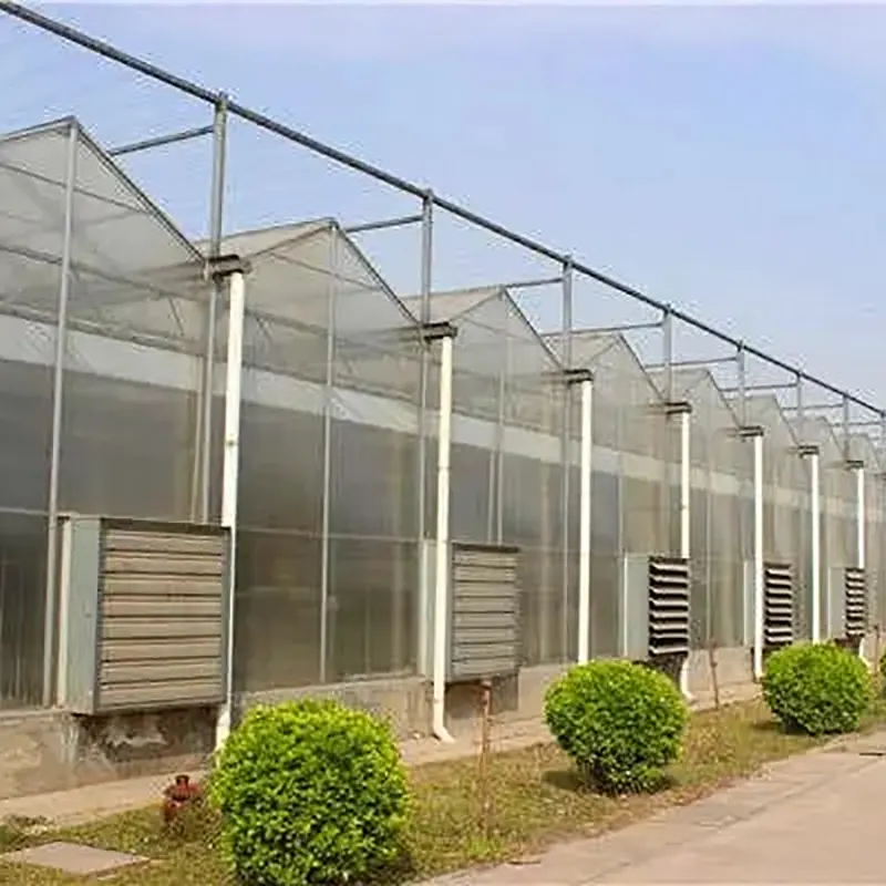 Ngôi nhà kính rỗng hai lớp nhiều nhịp