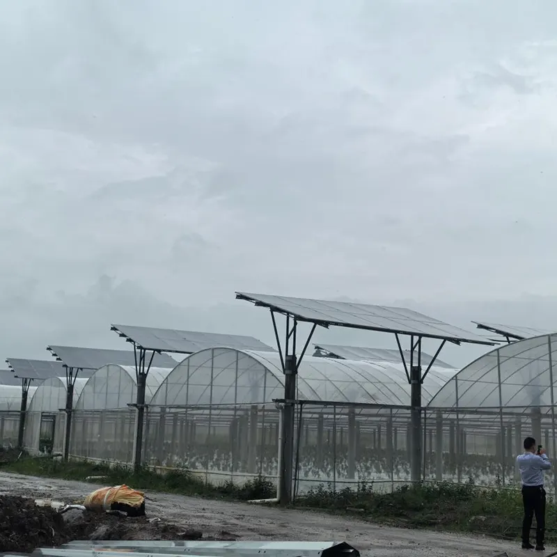 Nhà kính nhiều nhịp với mái quang điện