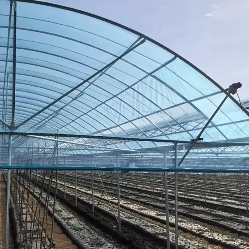 Nhà kính nhiều nhịp đơn giản có vòm tròn
