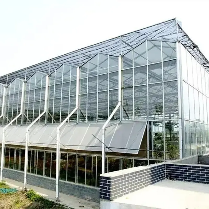 Nhà kính nhiều nhịp kiểu răng cưa có giếng trời