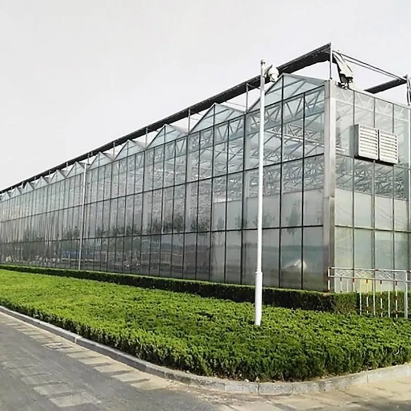 Nhà kính trồng cây con nhiều nhịp