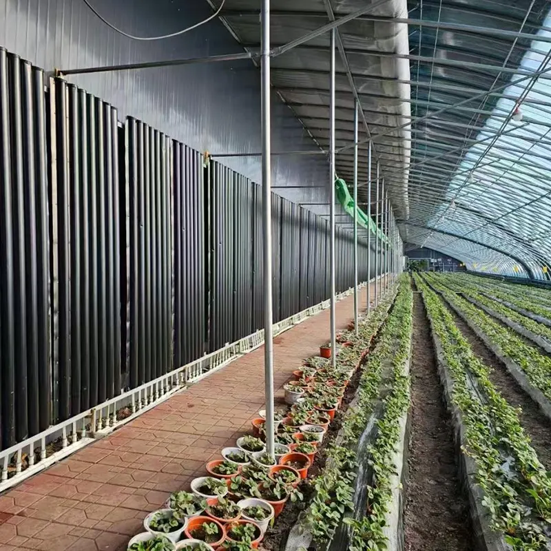 Nhà kính năng lượng mặt trời lưu trữ nhiệt bán dốc
