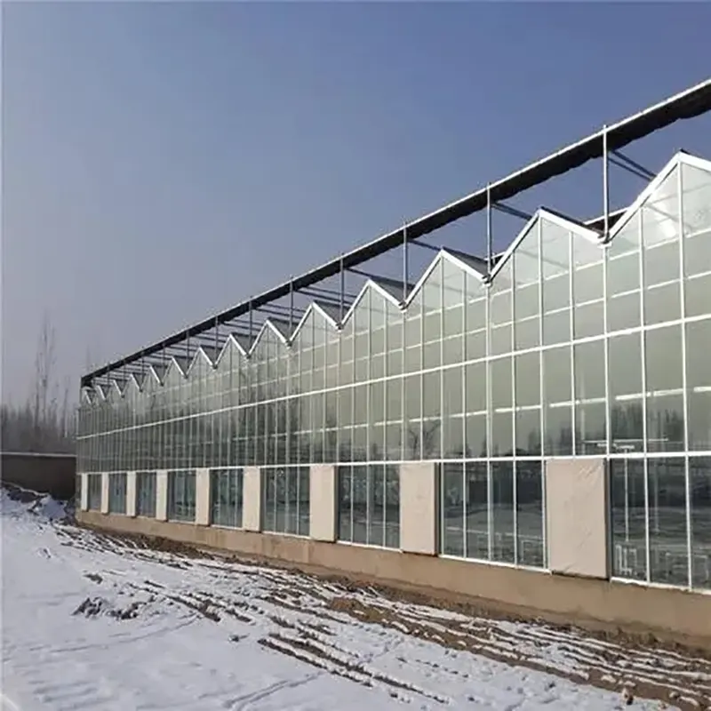 Nhà kính nhiều nhịp kính một lớp