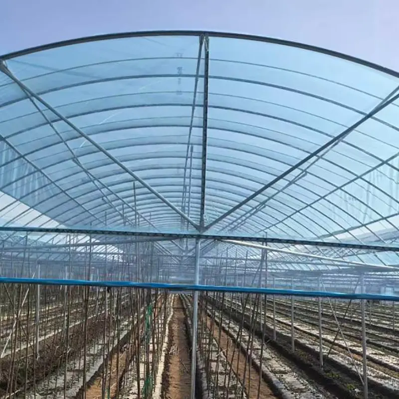 Nhà kính nhiều nhịp vòm tròn nhịp nhỏ